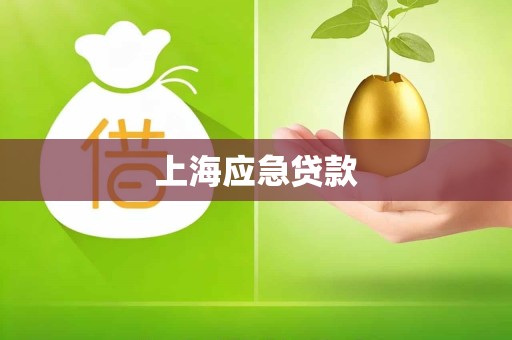 上海应急贷款
