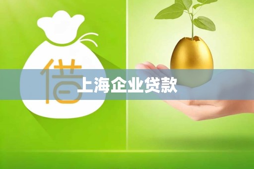 上海企业贷款