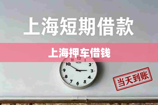 上海押车借钱